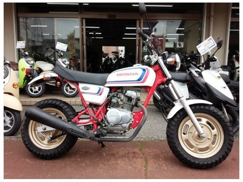 ご成約ありがとうございます。 NO.800 エイプ50 (APE) 4サイクル ミッション車 ☆彡