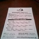 東京ディズニーランド又は東京ディズニーシー　1-Day　Passport大人2枚セット