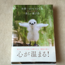 鳥の親子の本