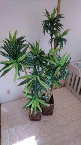 観葉植物 造花 ニトリ ゆりまま 天王台のその他の中古あげます 譲ります ジモティーで不用品の処分