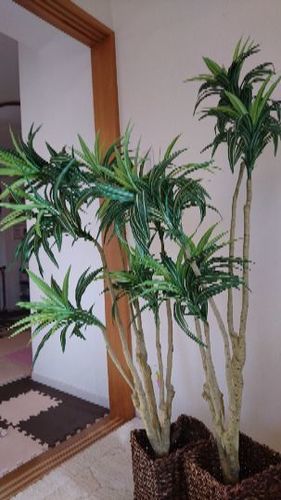 真剣に 突然 必須 ニトリ 観葉 植物 造花 Offenebefreiung Org