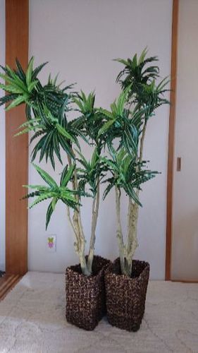 観葉植物 造花 ニトリ ゆりまま 天王台のその他の中古あげます 譲ります ジモティーで不用品の処分