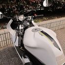 ★ユーロヤマハTZR50！かっくいい～逆車★東京/大田区【下取OK】