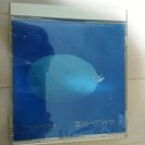 さだまさし　CD　『おもいで泥棒』