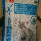 紙製猫砂