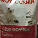 ロイヤルカナンキトン 子猫用キャットフード