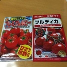 トマトのタネ 2種類