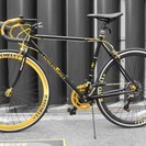 【新品】（終了）～Raychell+ R+713 GolDragon