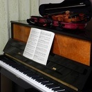 横山音楽教室～バイオリン・ビオラ・ピアノ・作曲・ソルフェージュ - 教室・スクール
