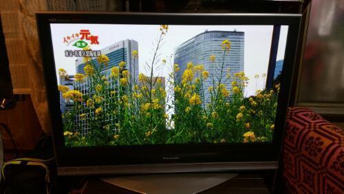 【終了】パナソニック42型　プラズマテレビ