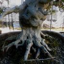 さつき　如峰山