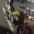 JADE250 CANDY LIFE塗装