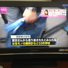 値下げPanasonic VIERA ハイビジョン液晶テレビ TH-26LX80