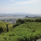 静岡市の穏やかで美しい自然の中で墓地経営!宗教法人様募集!
