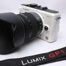 ★★★完売★★★　　☆限定値引☆　●付属品充実● 新品級 Panasonic LUMIX GF1 豪華レンズセット♪ #57