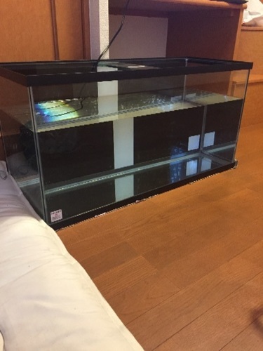 水槽