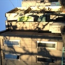 デザインテント 看板