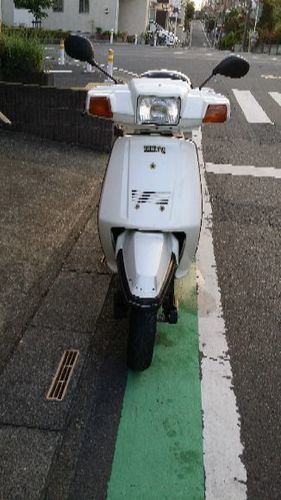 旧車シグナス125 50V