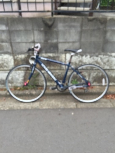 交渉中☆激安☆ルイガノ LGS-RSR4 ショップ カスタム車両  