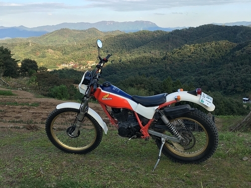 HONDA TLR 200 ヴィンテージトライアル車 【公式通販】