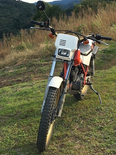 HONDA TLR 200 ヴィンテージトライアル車