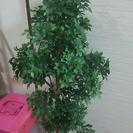 フェイク観葉植物126cm