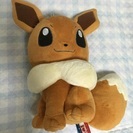 ポケモンのイーブイ6/19まで