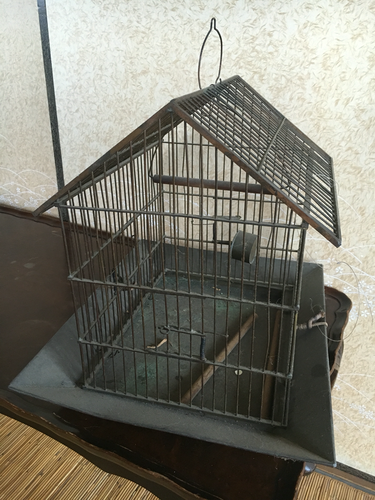 ５万で購入 鳥かご アンティーク バードケージ ディスプレイ ショーケース アイアン bird cage