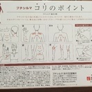 肩こり腰痛などに！レダのプチシルマ！