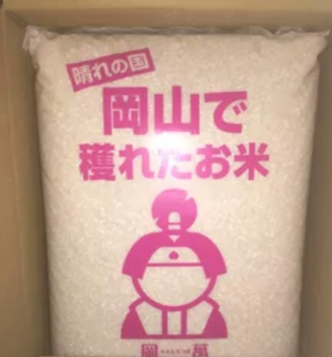 お米　10kg×2