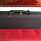 ドイツのドレスデン・1914年製作「Eduard　Berger」４／４