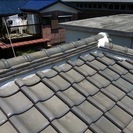 川崎市での雨漏り修理、屋根修理、防水工事ならお任せください。