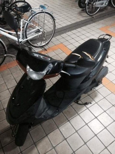 SUZUKI レッツ 黒 現状の状態渡し 激安 残り期間わずか