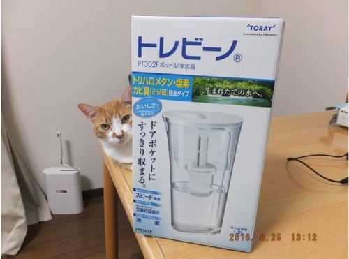 トレビーノ　ポット型浄水器　PT302F　新品です。
