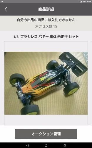 1/8  ホビーキング ブラシレス バギー 未走行 ブラシレスコンボ付き