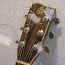 Takamine～Elite1975年ビンテージ Elite　TW-30