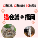 【現在3名様！】〜猫好き・猫の飼い主の夜カフェ交流会〜猫会議@福岡天神