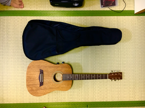 弦楽器、ギター S.Yairi Compact-Acoustic series
