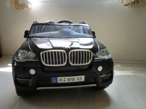 その他 AVIGO BMW-X5