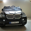 AVIGO BMW-X5