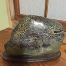 菊花石 孔雀柄