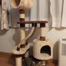 キャットタワー ☆中古2点☆