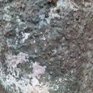 アメジスト　ドーム　約7㎏