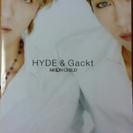 💴⤵値下！！HYDE＆Gackt 写真集　美品