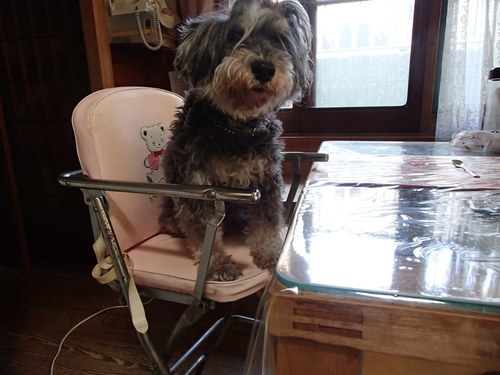 超レア あのファミリア ピンクの子供用ハイチェア