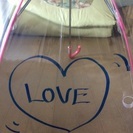 極希少HKT48 シャカリキオリジナル傘 直筆サイン入り 限定55本 本物保証