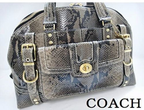 (商談中)参考価格9万程 COACH コーチ パイソンバック