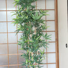 観葉植物セット（大・小）