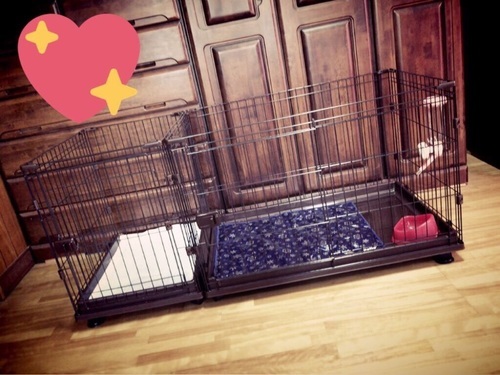 子犬用 ゲージ