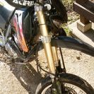 XR250 モタード